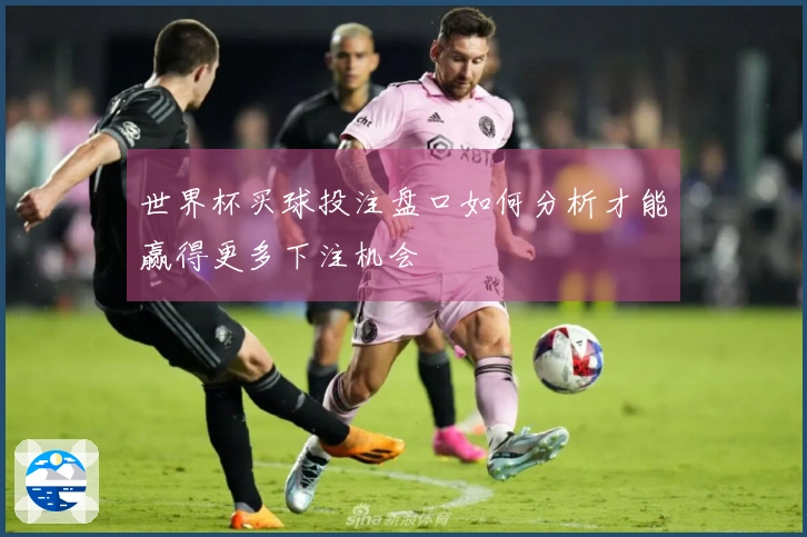 世界杯买球投注盘口如何分析才能赢得更多下注机会
