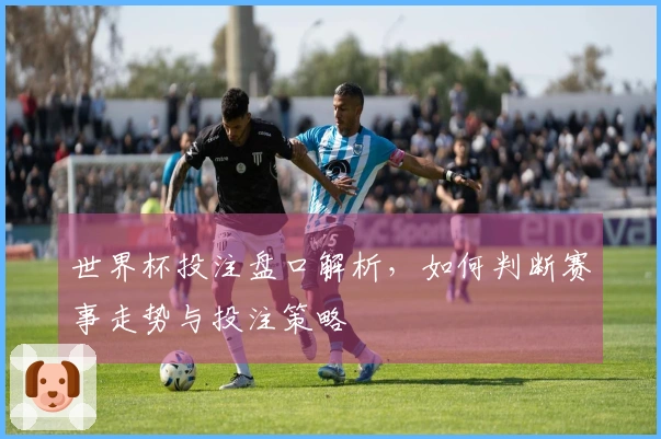 世界杯投注盘口解析,如何判断赛事走势与投注策略