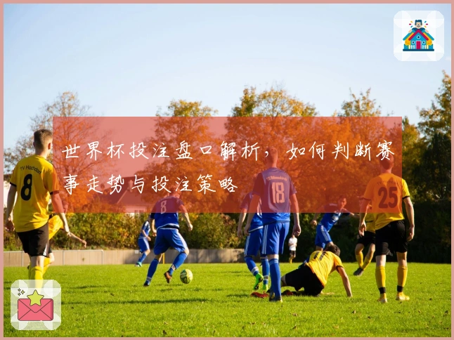 世界杯投注盘口解析，如何判断赛事走势与投注策略