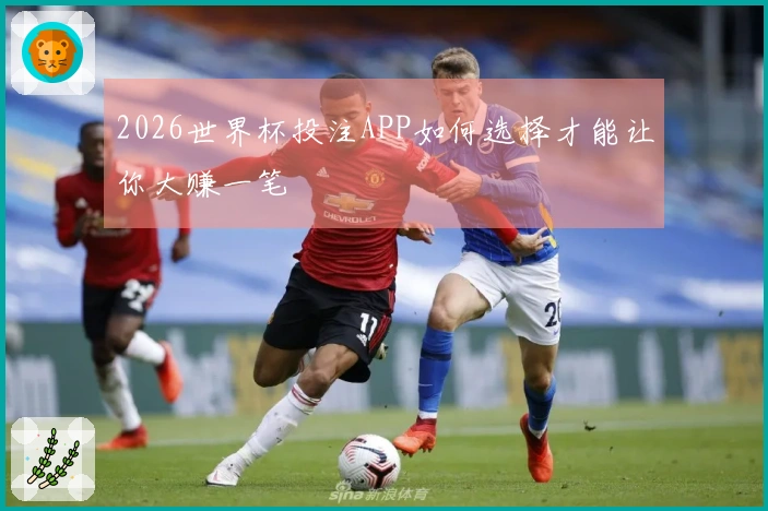 2026世界杯投注APP如何选择才能让你大赚一笔