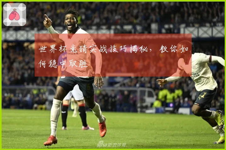 世界杯竞猜实战技巧揭秘，教你如何稳中取胜