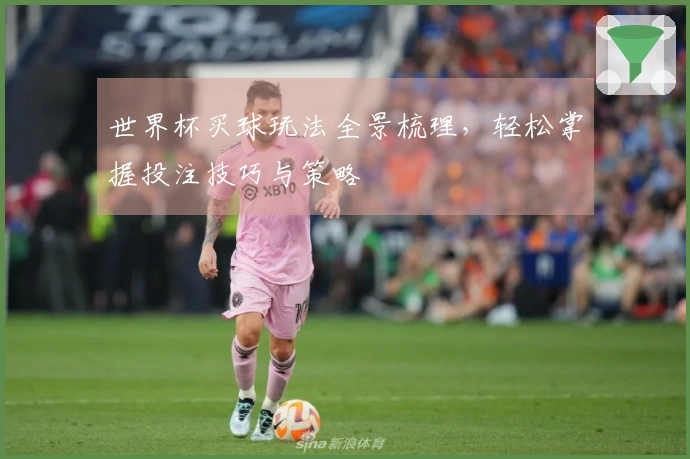 世界杯买球玩法全景梳理，轻松掌握投注技巧与策略