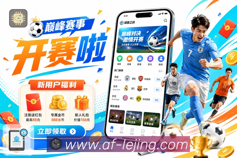 全球访问热力分布图